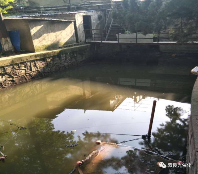 廣州中車軌道交通裝備小河道治理有限公司有機廢氣末端治理設施運營服務項目中標候選人公示