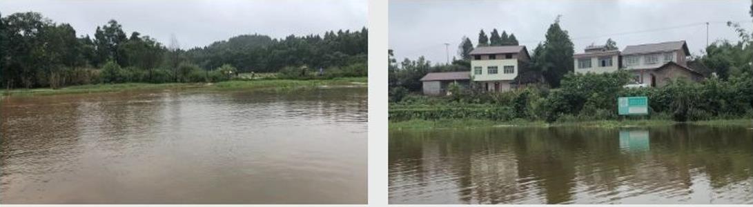 四川資陽市雁江區(qū)滴水巖水庫水體修復技術服務項目