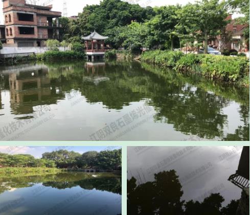 泓濟(jì)動(dòng)態(tài)丨相聚宜興環(huán)保科技城 共商村鎮(zhèn)污水新模式