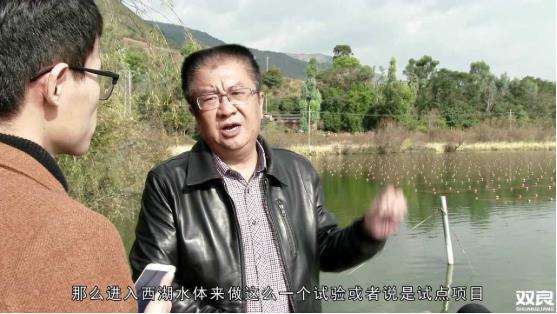 洱源西湖<a href=http://www.zfojg.cn target=_blank class=infotextkey>水環(huán)境治理</a><a href=http://www.zfojg.cn/hp/ target=_blank class=infotextkey>湖泊修復(fù)</a>碧水藍(lán)天