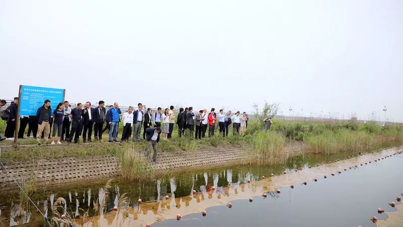 中國第一大城市飲用水<a href=http://www.zfojg.cn/yysyd/ target=_blank class=infotextkey>水源地治理</a>技術(shù)突破
