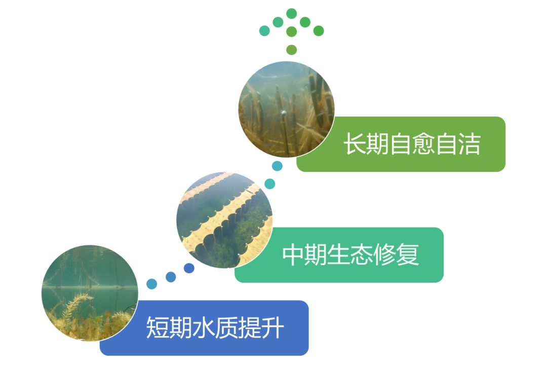 2020<a href=http://www.zfojg.cn target=_blank class=infotextkey><a href=http://www.zfojg.cn target=_blank class=infotextkey>雙良</a>環(huán)境</a>春招開啟