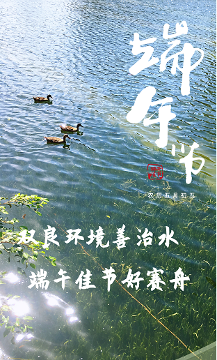 雙良環(huán)境祝您及家人端午安康！