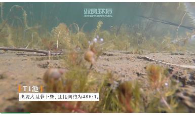 保護生物多樣性雙良環(huán)境在行動！