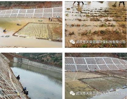 云南雙廊尾水塘庫水質凈化工程