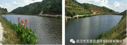 云南雙廊尾水塘庫水質凈化工程