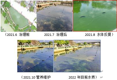 新聞轉載｜擬自然化：城市湖泊水環(huán)境治理的生態(tài)智慧與途徑——以南京玄武湖為例
