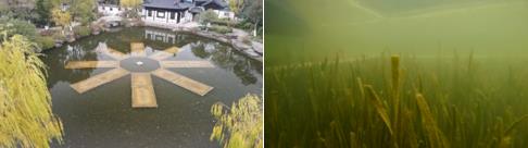 在我縣調(diào)研指導(dǎo)污水處理、呂莊水庫(kù)建設(shè)及涑水河聞喜段河道治理等工作