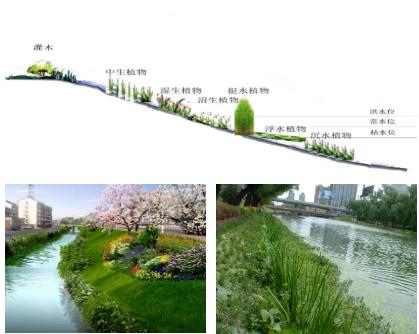 大面積黑臭水體（水塘、水渠、水庫等）特別是養(yǎng)殖廢水，如何在短時間快速進(jìn)行治理？達(dá)標(biāo)農(nóng)灌水或排放標(biāo)準(zhǔn)？