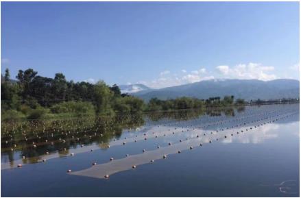 湖北“黑科技”將湖泊水庫污水就地變清流，雙良值得推廣
