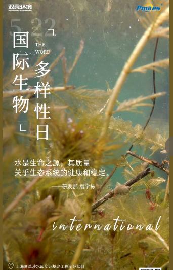 5.22生物多樣性日｜共護(hù)碧水清波，共建和諧生態(tài)！